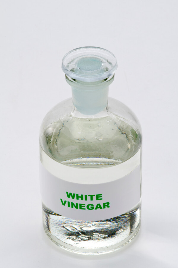 White vinegar for mould treatment