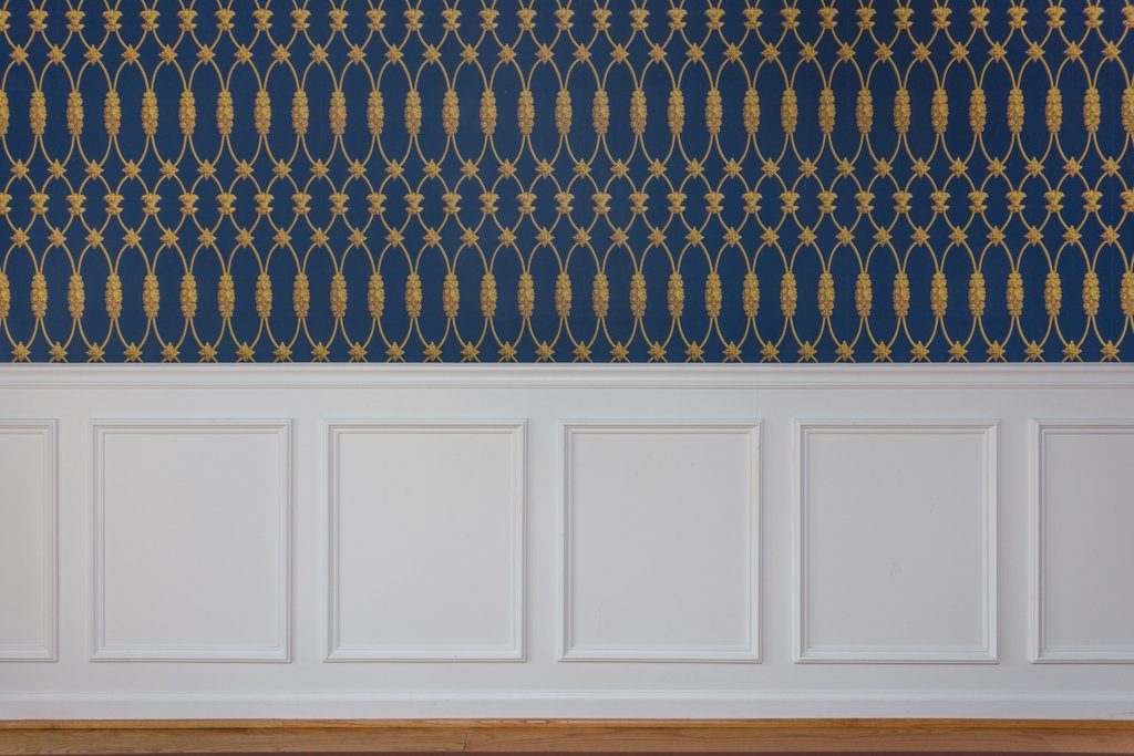 Navy blue wallpaper with white wainscoting panelling in a modern room