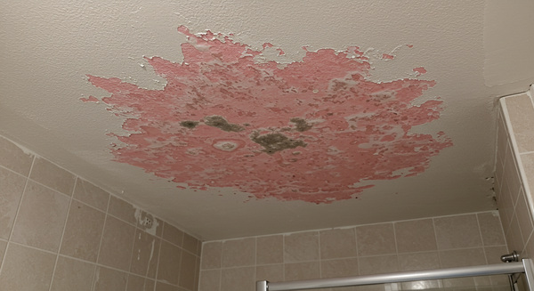 Pink mould growth on bathroom surfaces